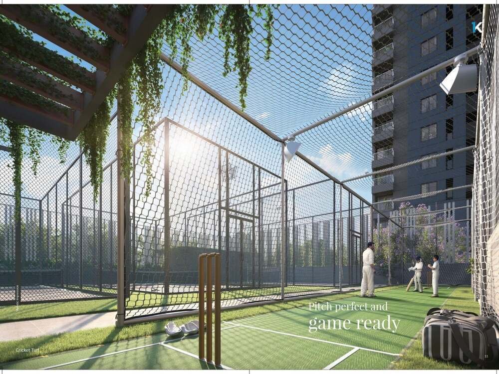 Cricket turf at EKAM